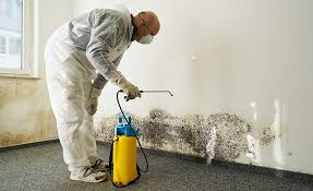 Best Commercial Mold Inspection  in Redstone Arsen, AL