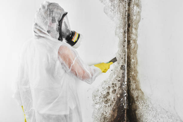 Best Residential Mold Inspection & Testing  in Redstone Arsen, AL