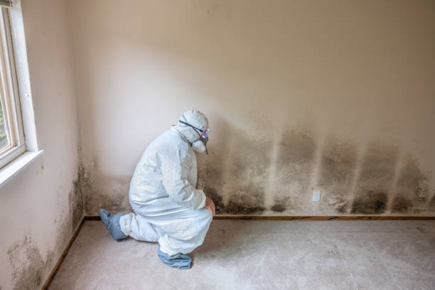 Best Mold Prevention Services  in Redstone Arsen, AL